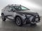 2023 Lexus NX 350 NX 350