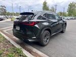 2024 Lexus NX 350 NX 350