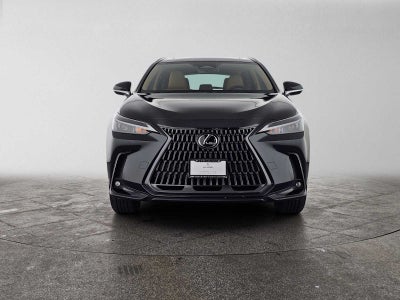 2024 Lexus NX 350 NX 350