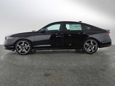 2026 Honda Accord Sport