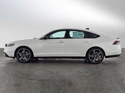 2026 Honda Accord Sport