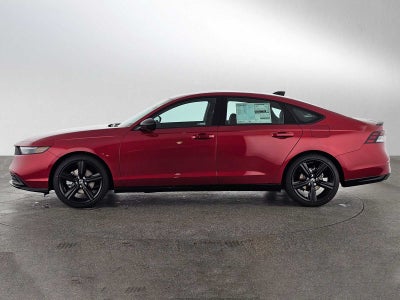 2026 Honda Accord Sport-L