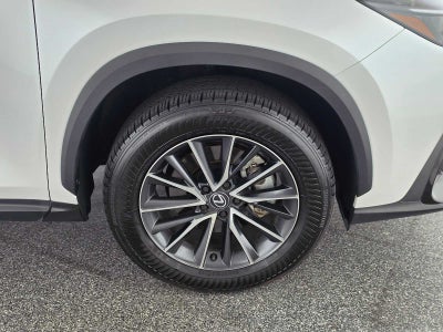2024 Lexus NX 350 NX 350
