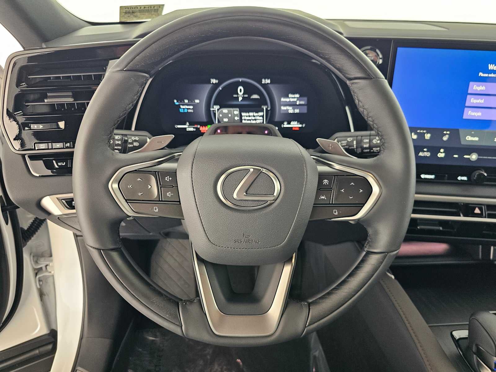 2025 Lexus RX Luxury