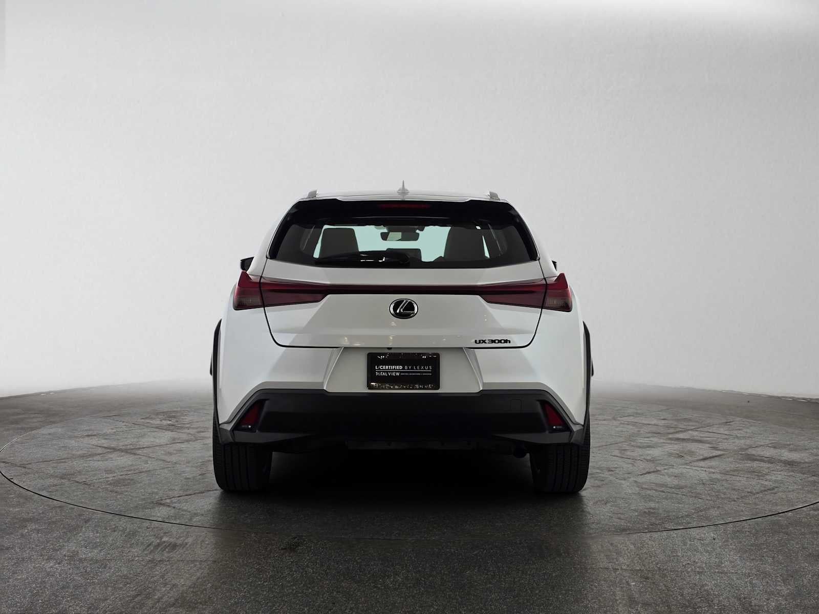 2025 Lexus UX 300h UX 300h