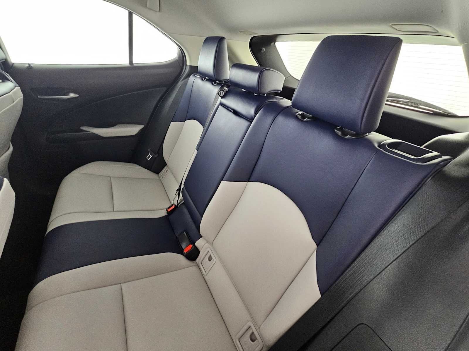 2025 Lexus UX 300h UX 300h