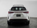 2025 Lexus NX 250 Premium