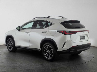 2025 Lexus NX 250 Premium