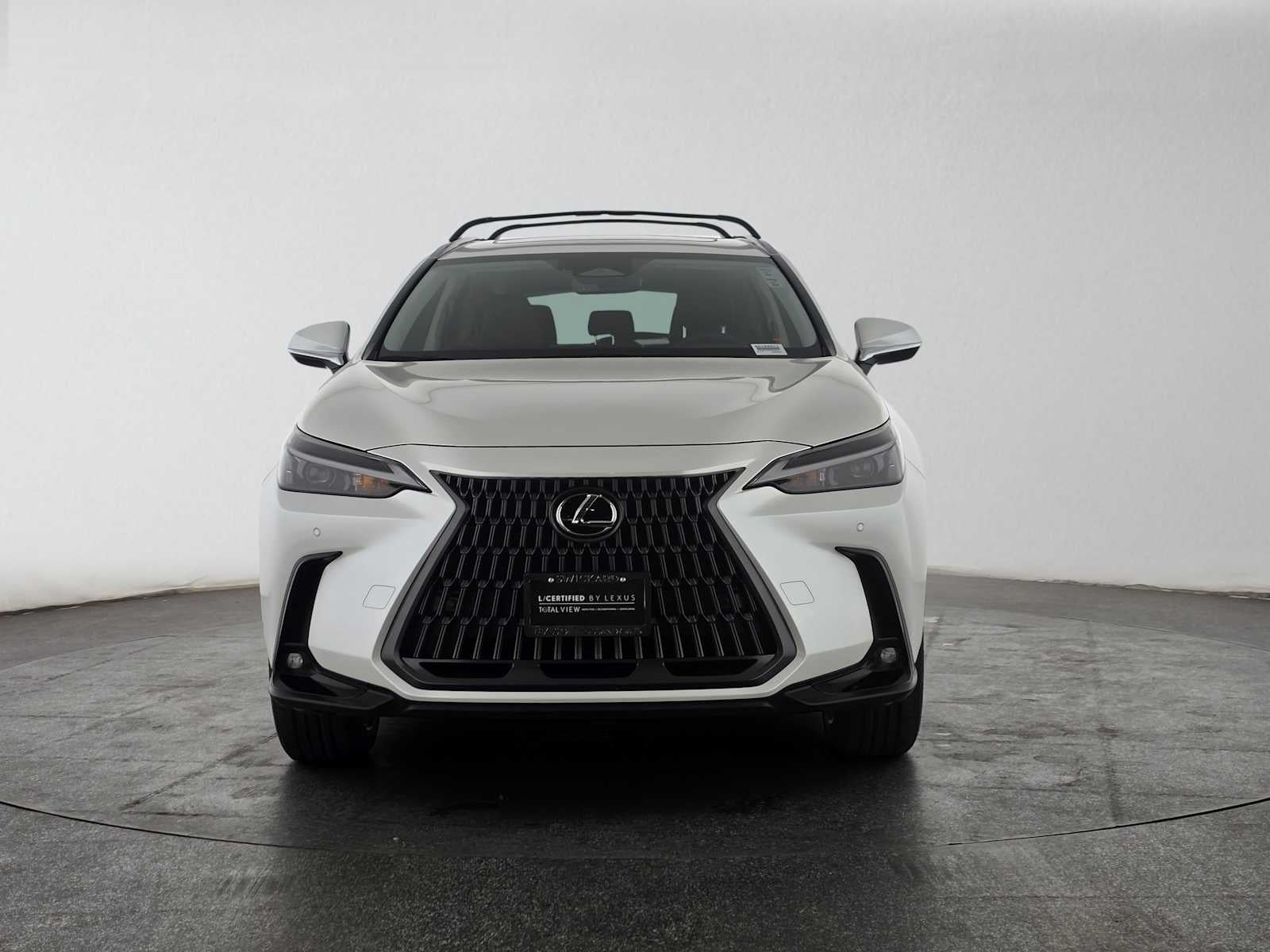 2025 Lexus NX 250 Premium