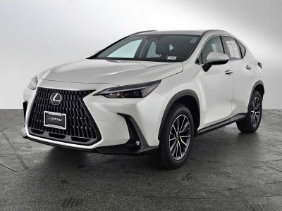 2025 Lexus NX Premium