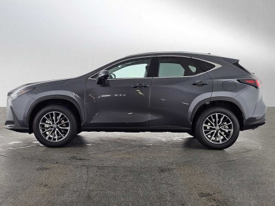 2025 Lexus NX Premium