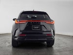 2024 Lexus NX 350h Premium