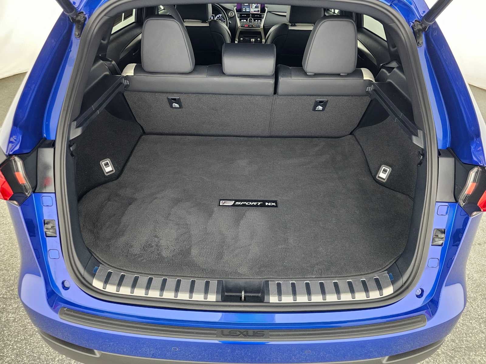 2021 Lexus NX 300 F SPORT