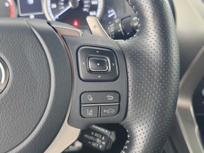 2021 Lexus NX 300 F SPORT